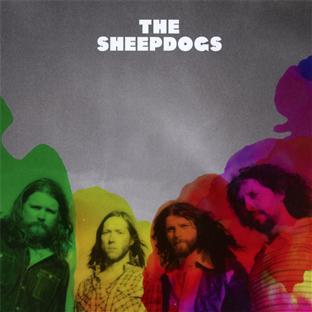 THE SHEEPDOGS