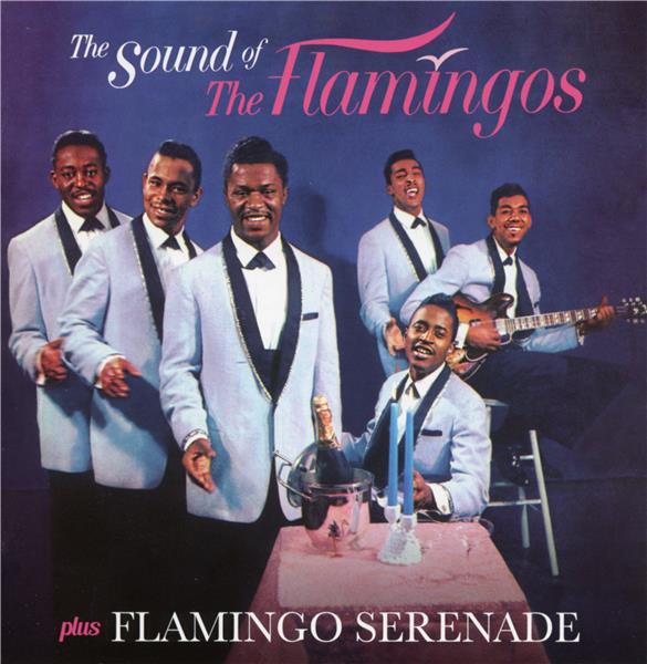 THE SOUND OF + FLAMINGO SERENADE