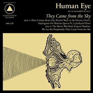 THEY CAME FROM THE SKY