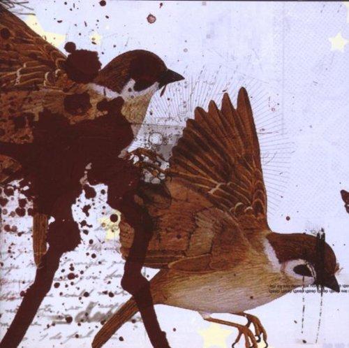 THIS IS WHAT THE EDGE OF YOUR EDITION LIMITEE