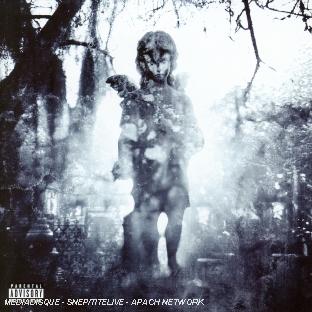 THROUGH THE ASHES OF EMPIRES