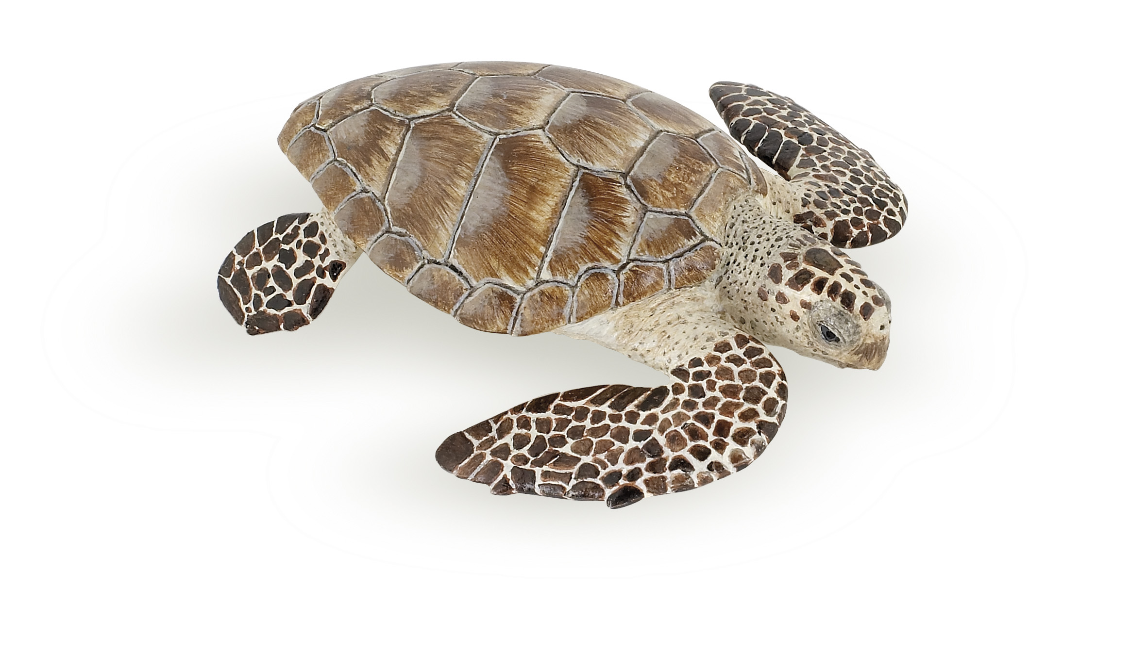 Tortue caouanne - PAPO - 56005