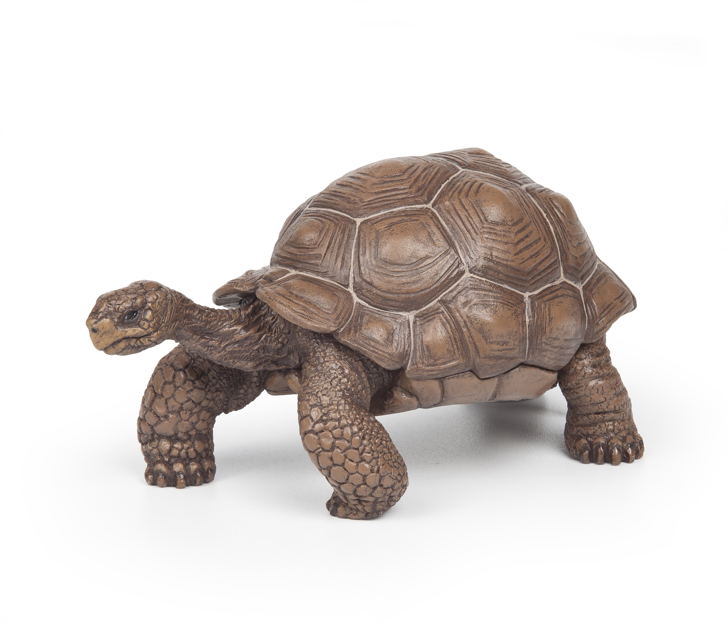 Tortue des Galápagos - PAPO - 50161