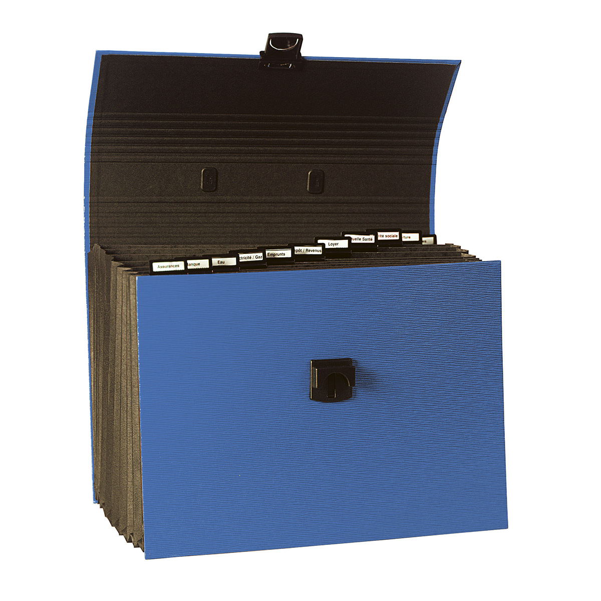 Trieur valisette famillial - 12 compartiments à poignée - bleu