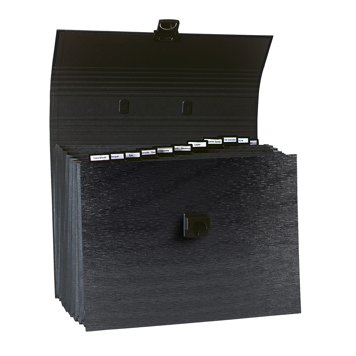 Trieur valisette famillial - 12 compartiments à poignée - noir