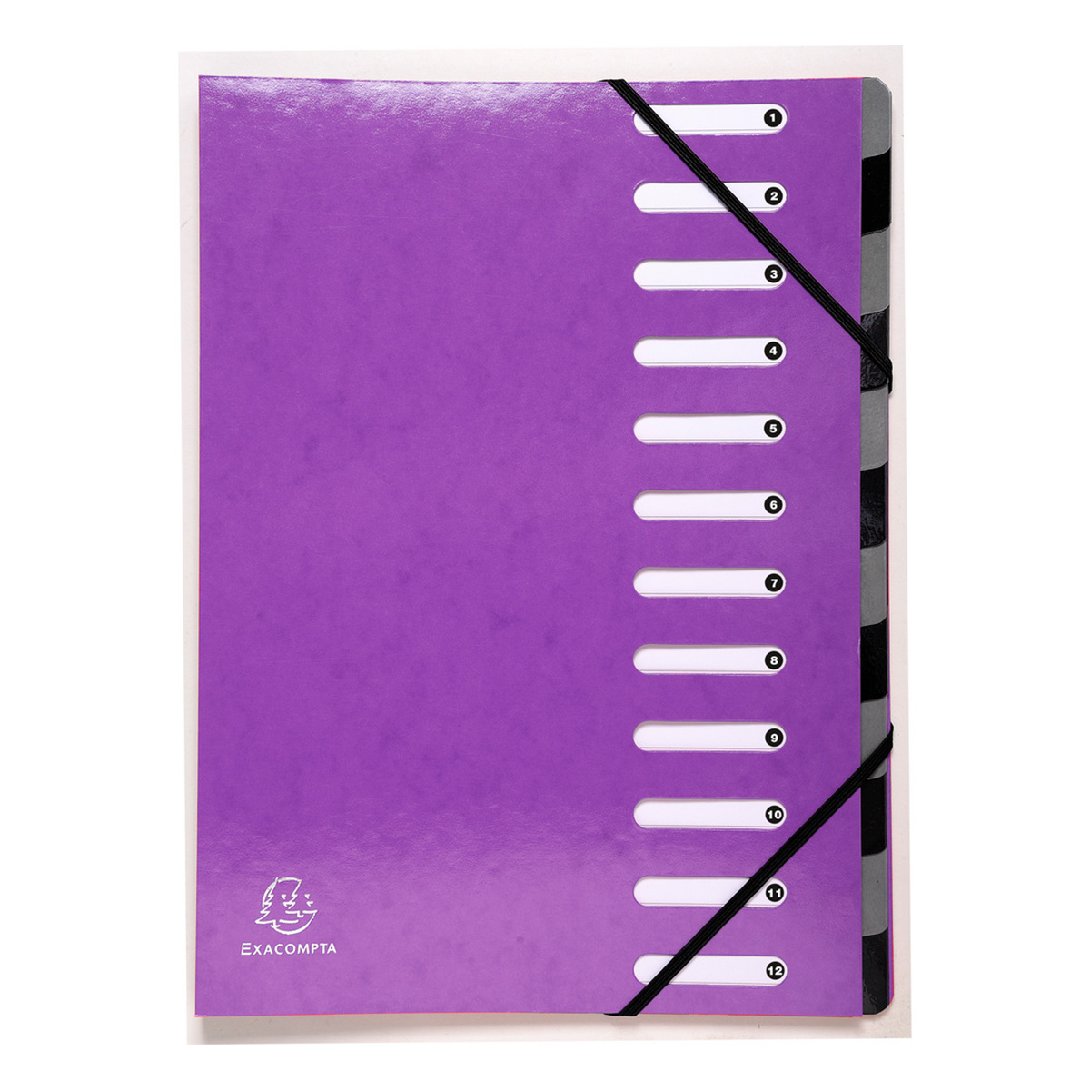 Trieur Harmonika Iderama - Violet - Exacompta