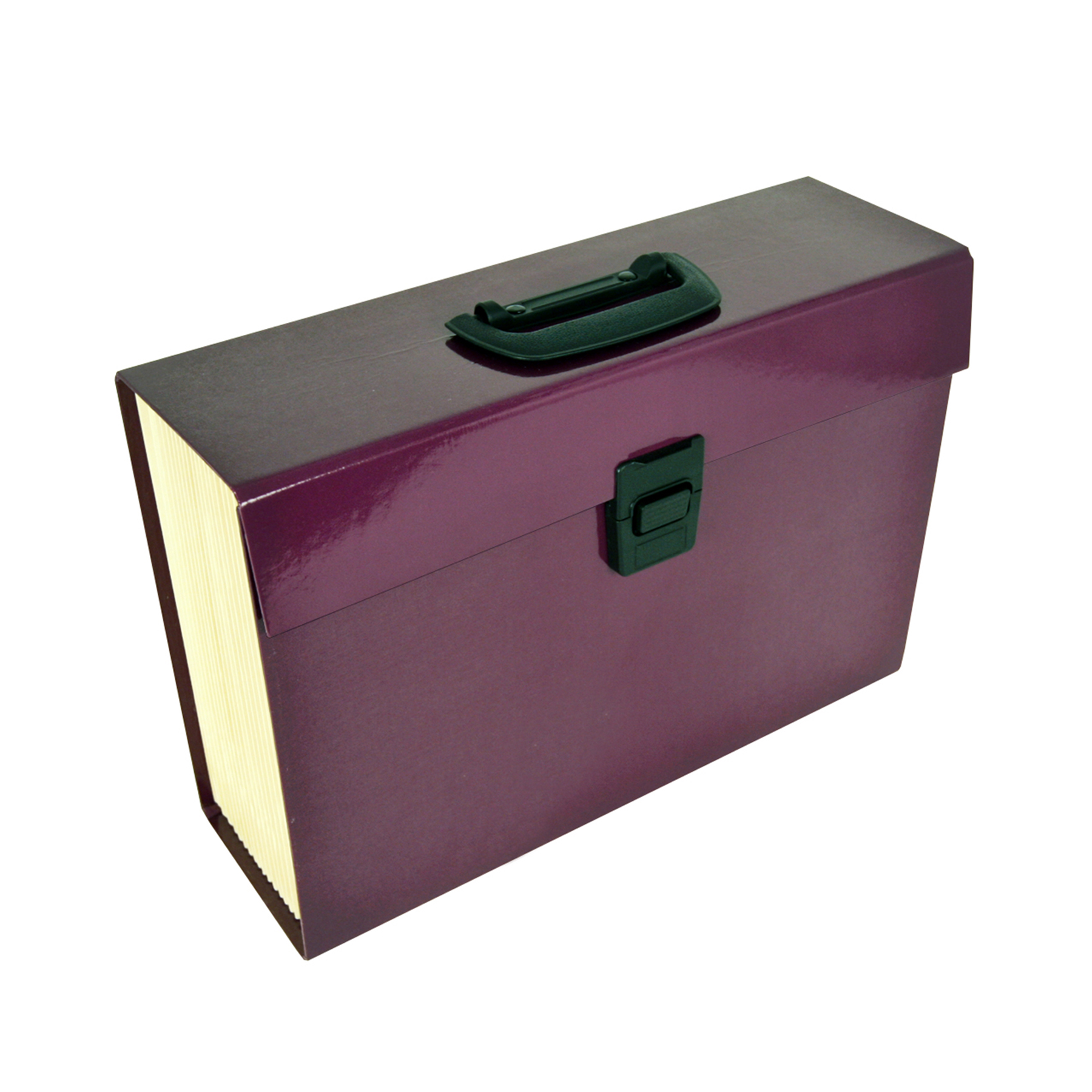Trieur valisette premium - 20 compartiments - Aubergine