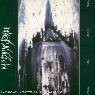 TURN LOOSE THE SWANS