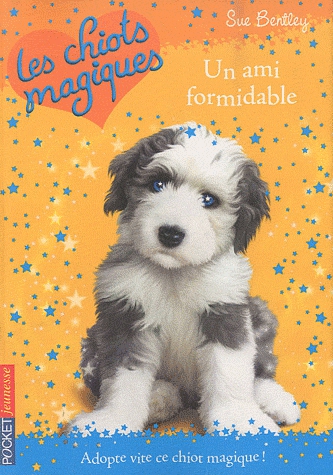 Les chiots magiques Tome 8 - Un ami formidable