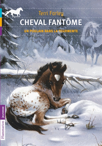 Cheval fantôme Tome 5 - Un poulain dans la tourmente