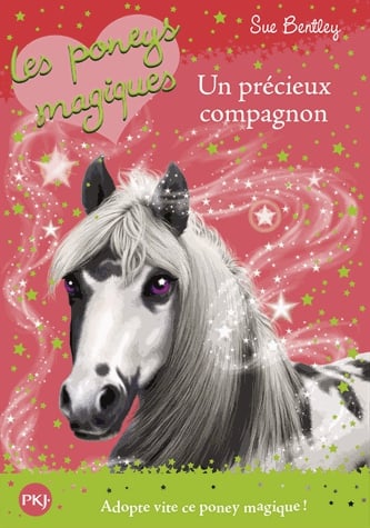 Les poneys magiques Tome 12 - Un précieux compagnon