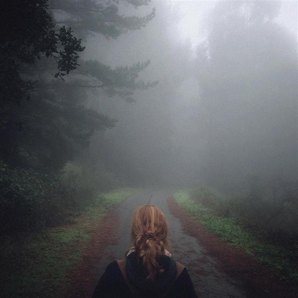 UNDER THE PIPAL TREE