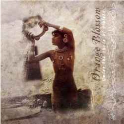 UNDER THE SHADE OF VIOLETS