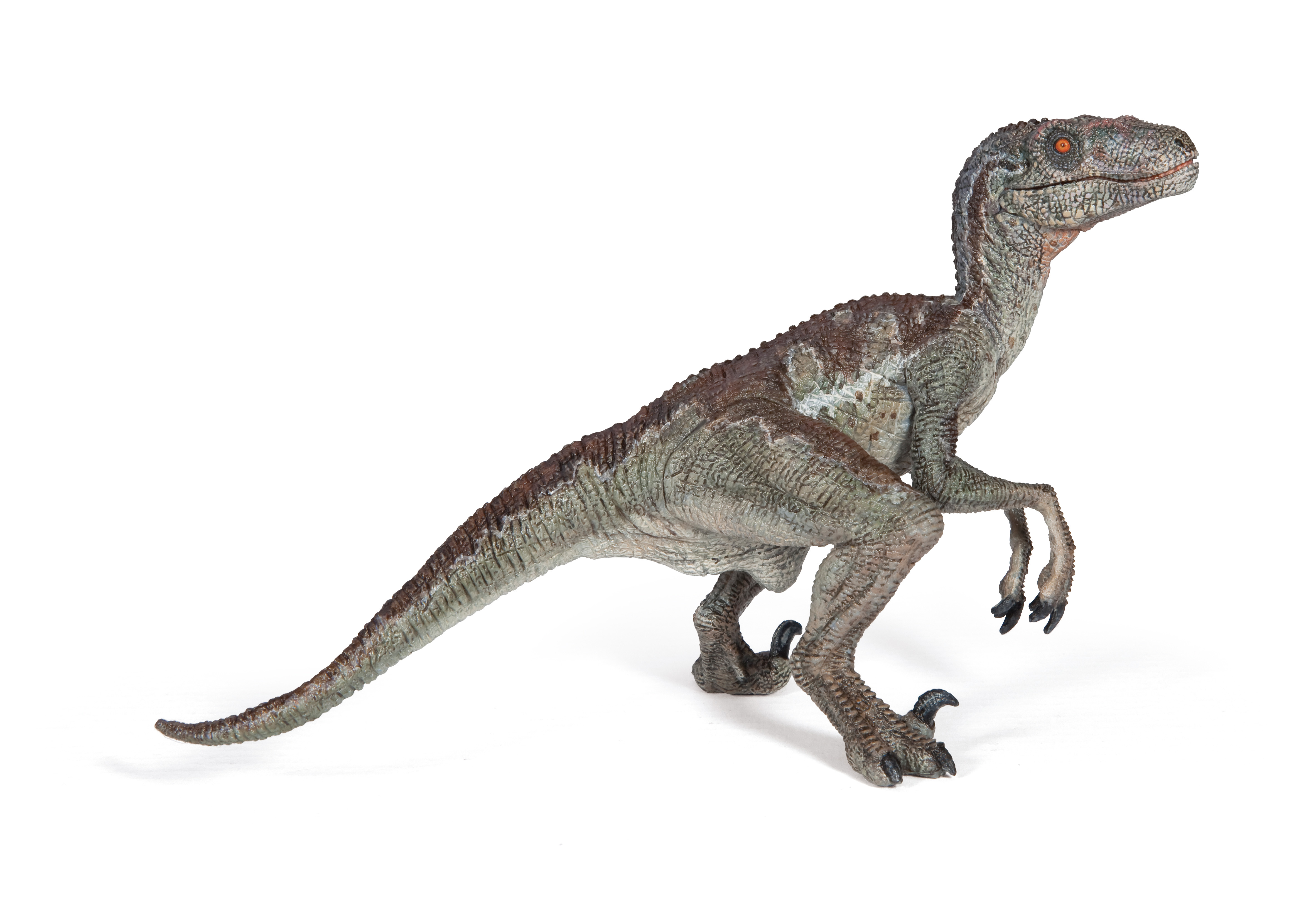 Vélociraptor - PAPO - 55023