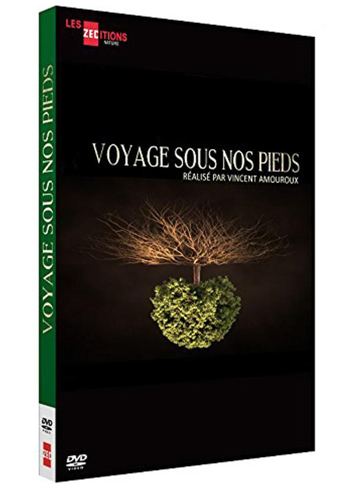 VOYAGE SOUS NOS PIEDS - DVD