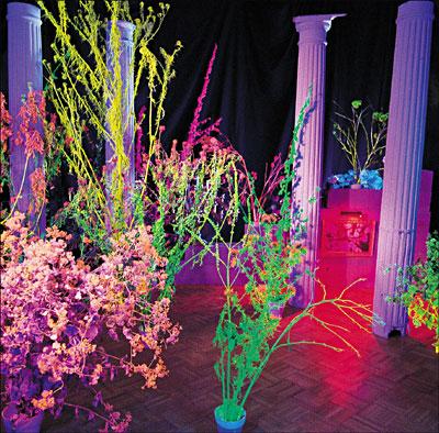 WHAREHOUSE SONGS AND STORIES