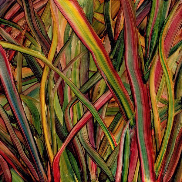 WHERE WILDNESS GROWS