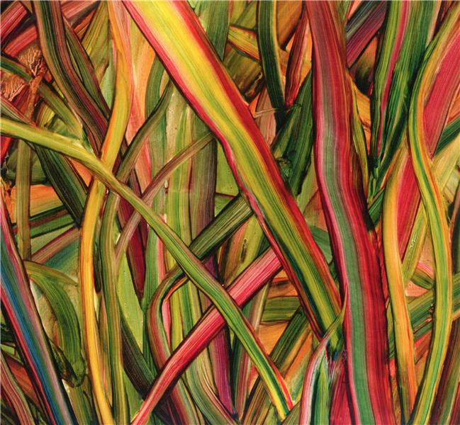 WHERE WILDNESS GROWS