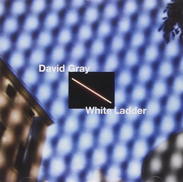 WHITE LADDER