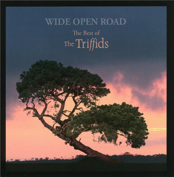 WIDE OPEN ROAD - THE BEST OF THE TRIFFIDS
