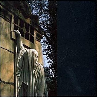 WITHIN THE REALM OF A DYING SUN