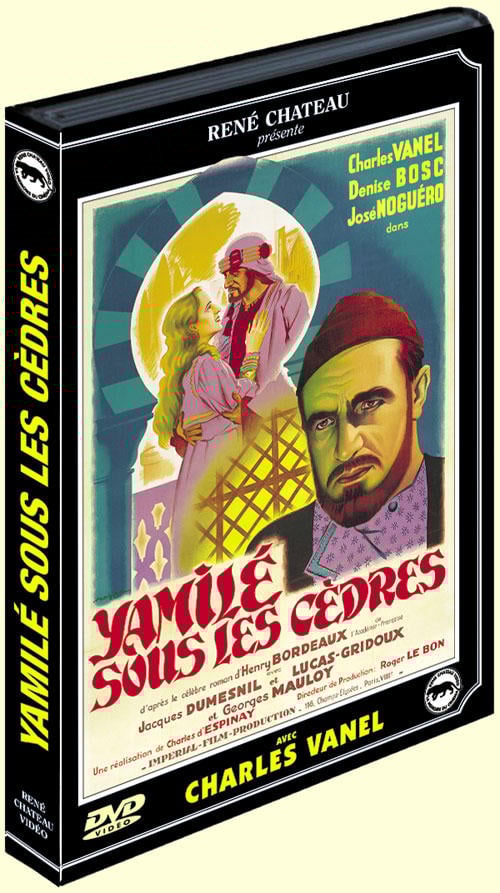 YAMILÉ SOUS LES CÈDRES