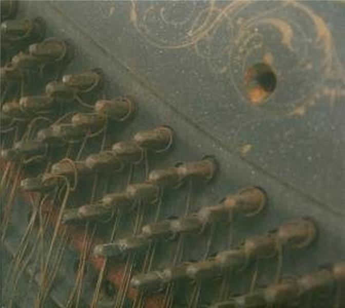 YOU, YOU'RE A HISTORY IN RUST